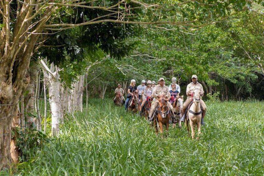 5 hours sightseeing tour in higuey with lunch, beach and river 