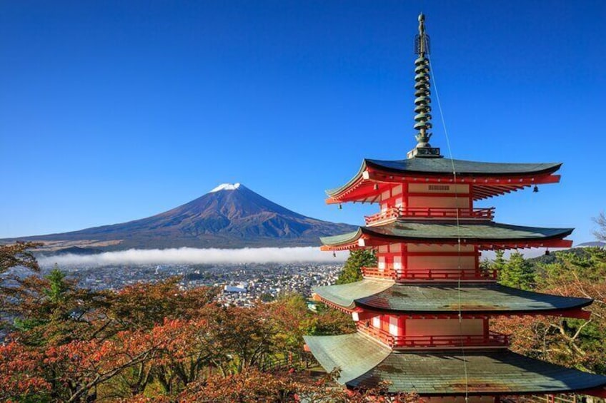 Mt. Fuji and Hakone Private Sightseeing Day Tour from Tokyo