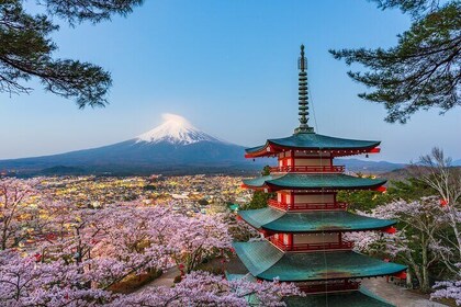 Mt. Fuji or Hakone Private Sightseeing Day Tour from Tokyo