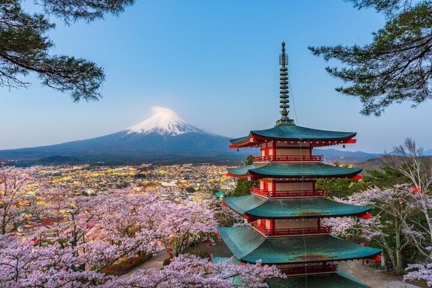 Mt. Fuji and Hakone Private Sightseeing Day Tour from Tokyo