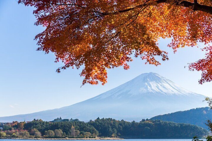 Mt. Fuji and Hakone Private Sightseeing Day Tour from Tokyo