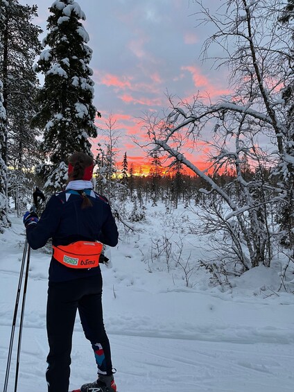 Picture 4 for Activity Tromsø: Cross Country Course with a Guide and Views