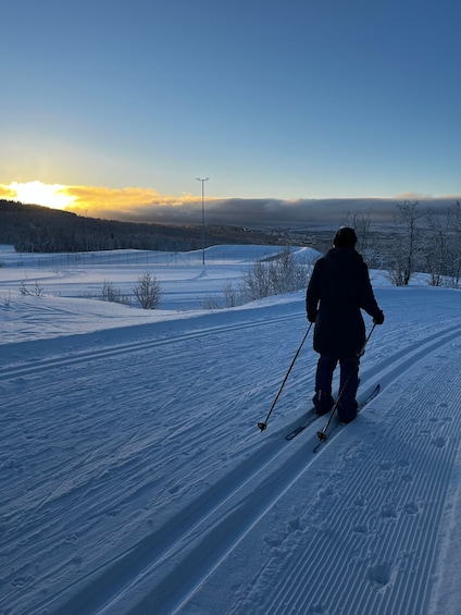 Picture 2 for Activity Tromsø: Cross Country Course with a Guide and Views