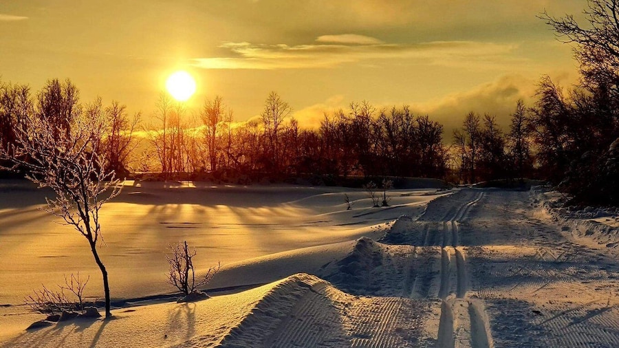 Tromsø: Cross Country Course with a Guide and Views