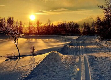 Tromsø: Cross Country Guided Skiing Course