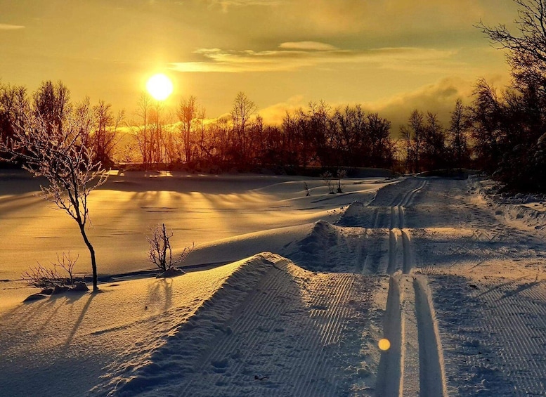 Tromsø: Cross Country Course with a Guide and Views