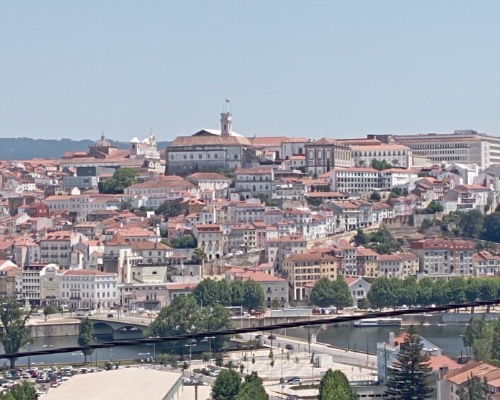 Picture 6 for Activity Aveiro/Coimbra Private City Tour: Meal Cruise & ALL Included