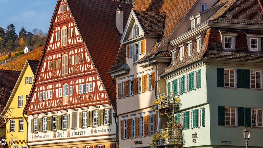 Picture 1 for Activity Classic Walking Tour of Esslingen with an American Guide