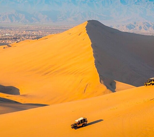 Picture 4 for Activity From Lima: Paracas and Huacachina Oasis Full Day Tour