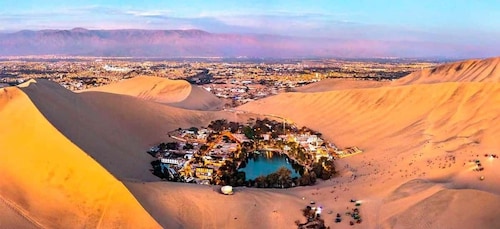 Lima: Ballestas Islands & Huacachina Oasis Guided Day Trip