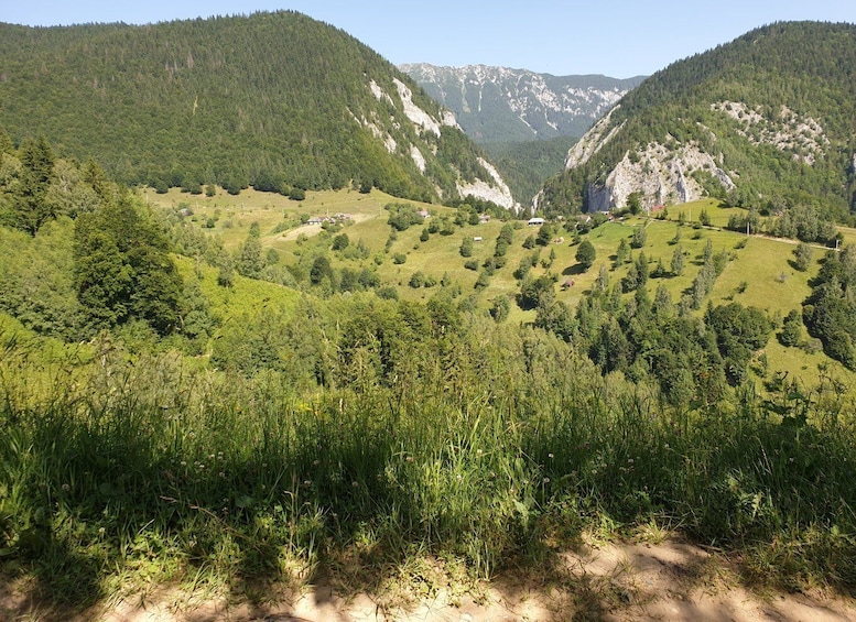 Picture 6 for Activity From Brasov : Piatra Craiului National Park on Ebike