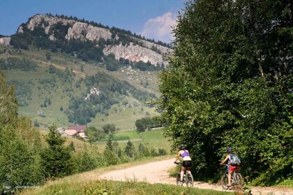 Från Brasov: Nationalparken Piatra Craiului på Ebike