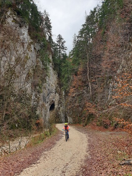 Picture 8 for Activity From Brasov : Piatra Craiului National Park on Ebike