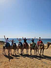 Excursion privée d'une journée : Gibraltar et le Maroc (Tanger) depuis Sévi...