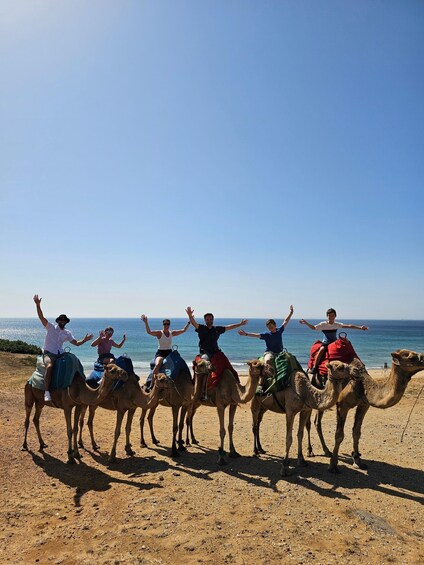 Private Day Trip: Gibraltar & (Tangier) Morocco from Seville