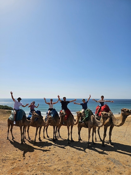 Private Day Trip: Gibraltar & (Tangier) Morocco from Seville