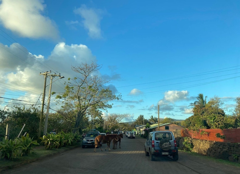 Picture 2 for Activity Hanga Roa: The only city of Rapa Nui