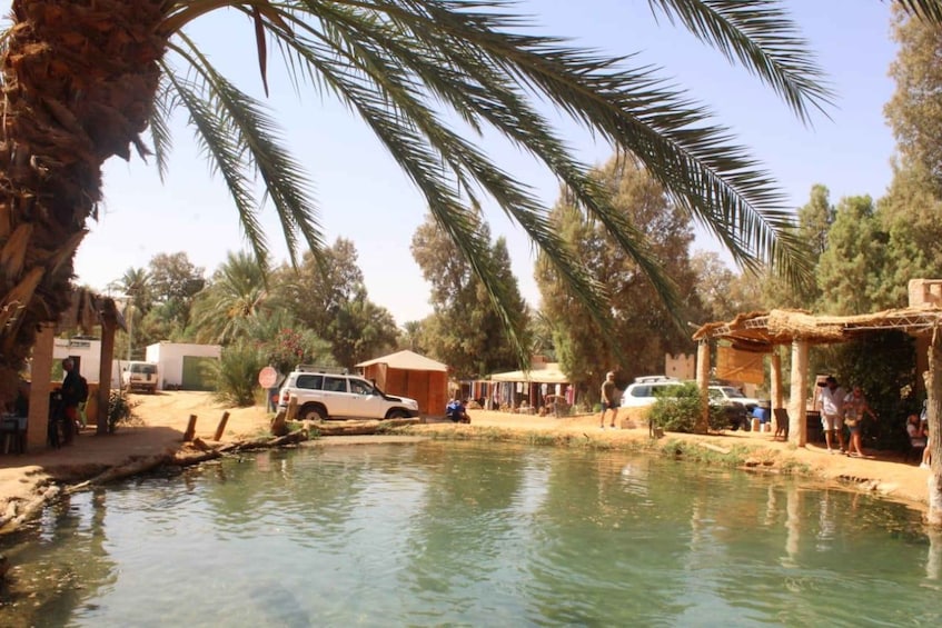 Picture 2 for Activity excursion d'une journee a Ksar Ghilane en 4x4