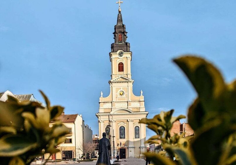 Picture 9 for Activity Food, Wine And Sightseeing Tour in Oradea, Romania