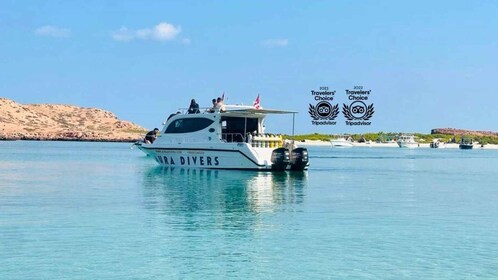 Excursion de plongée avec masque et tuba dans les îles Daymaniyat, déjeuner...