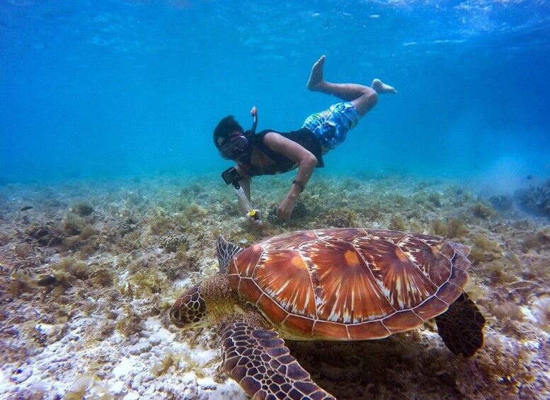 Picture 7 for Activity Daymaniyat Islands Snorkeling trip including Lunch