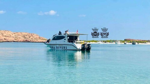 Excursion de plongée avec masque et tuba dans les îles Daymaniyat, déjeuner...