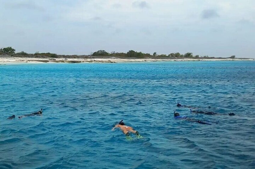 Swim & Reef Snorkeling Bonaire