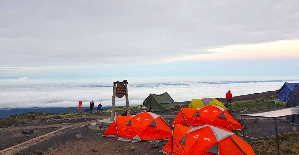 Picture 1 for Activity 10 days Mount Kilimanjaro Climbing Via Lemosho Route