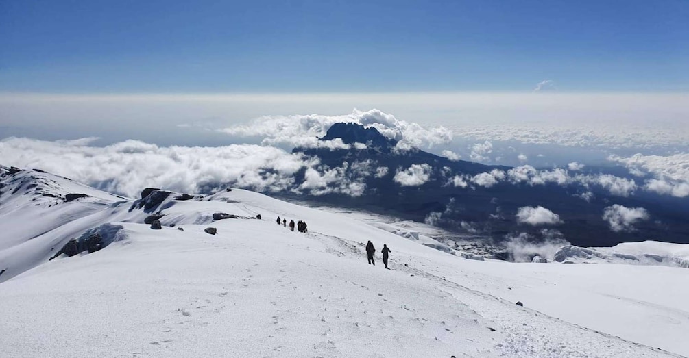 10 days Mount Kilimanjaro Climbing Via Lemosho Route