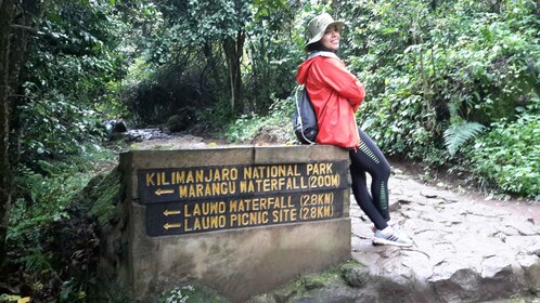 Excursión de un día al Monte Kilimanjaro