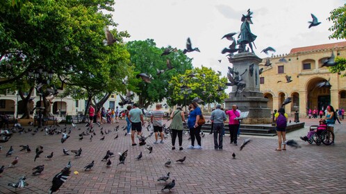 From Santo Domingo: Full day Historical Tour with Lunch