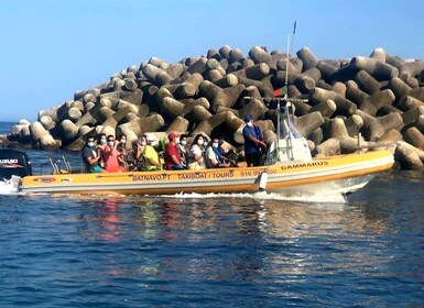 Taxi Boat beach Ribeiro do Cavalo