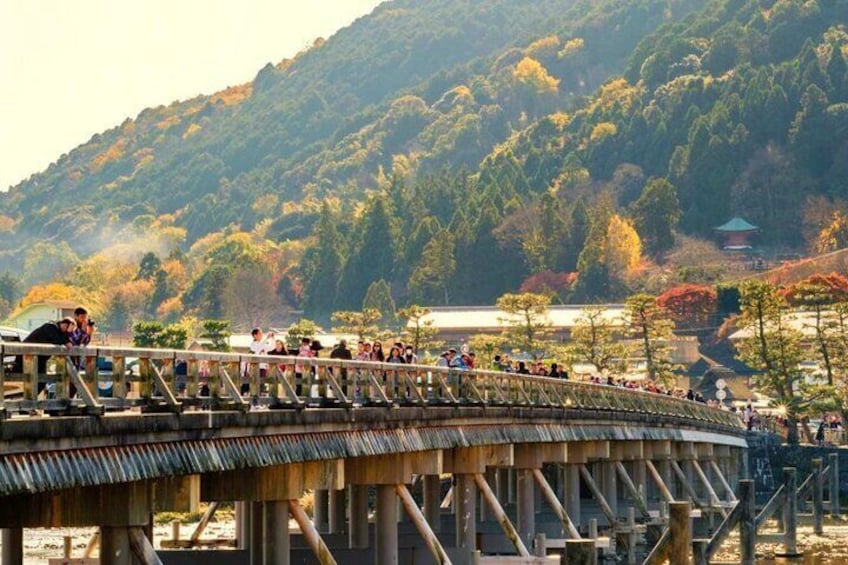Kyoto and Nara Day Tour from Osaka or Kyoto