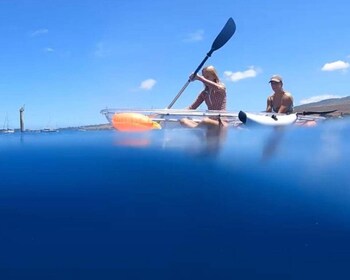 Clear Bottom Glassy Kayak Rental | Safe and Stable Kayaks