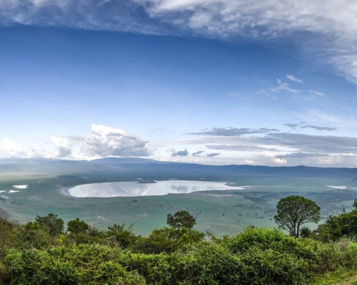Arusha: Ngorongoro Crater, Manyara Wildlife Exploration Tour