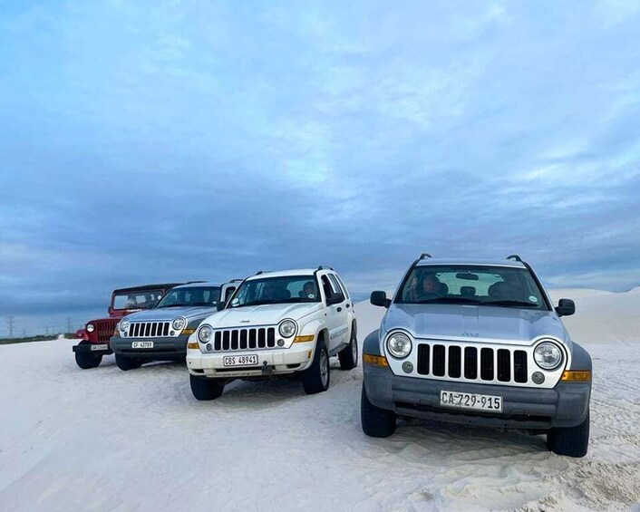 Picture 5 for Activity CAPE TOWN: GLAM SANDBOARDING IN ATLANTIS DUNES WITH WILDX