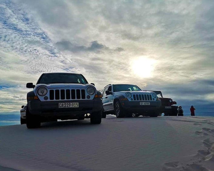 Picture 7 for Activity CAPE TOWN: GLAM SANDBOARDING IN ATLANTIS DUNES WITH WILDX