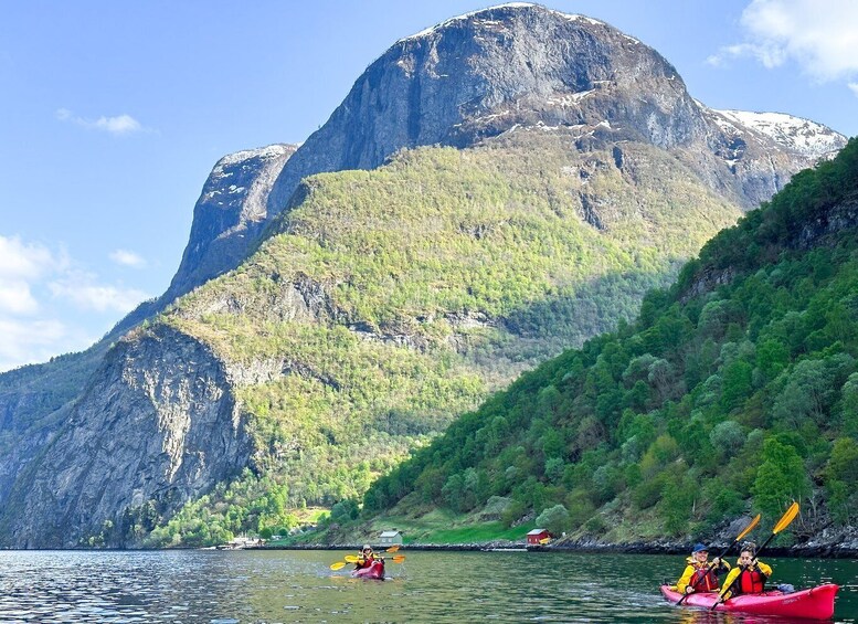 Picture 9 for Activity From Flåm: Nærøyfjord 3 Day Kayaking and Camping Tour