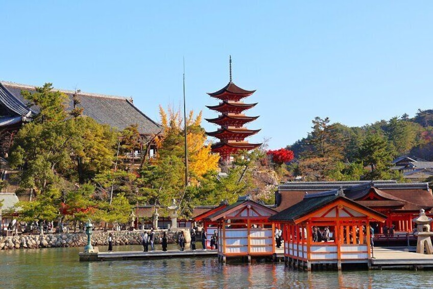 Hiroshima and Miyajima 1 Day Bus Tour
