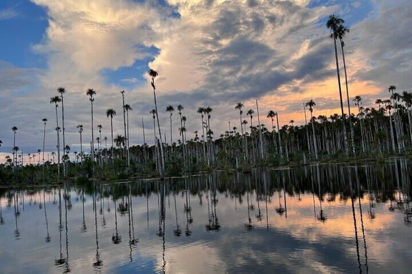 Yacumama Lake