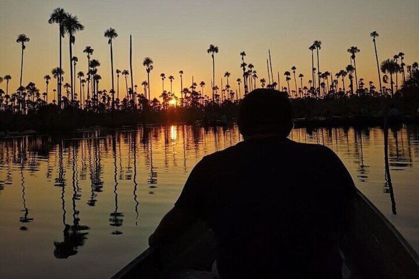 3 Hours Private Piranha Fishing in Lake Yacumama