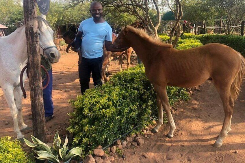 Getting up and close with the Horses !