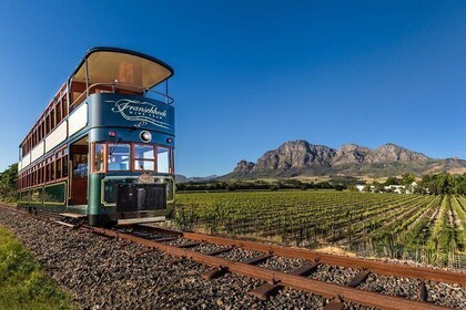 Franschhoek Wijn Tram & Boschendal Wijnboerderij Ervaring