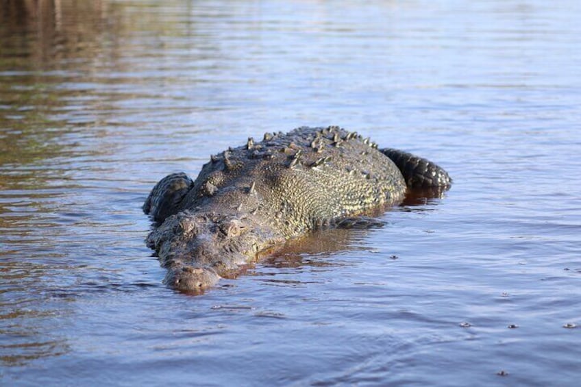 Half-Day Tour to Ventanilla, Mazunte, Zipolite and Puerto Angel