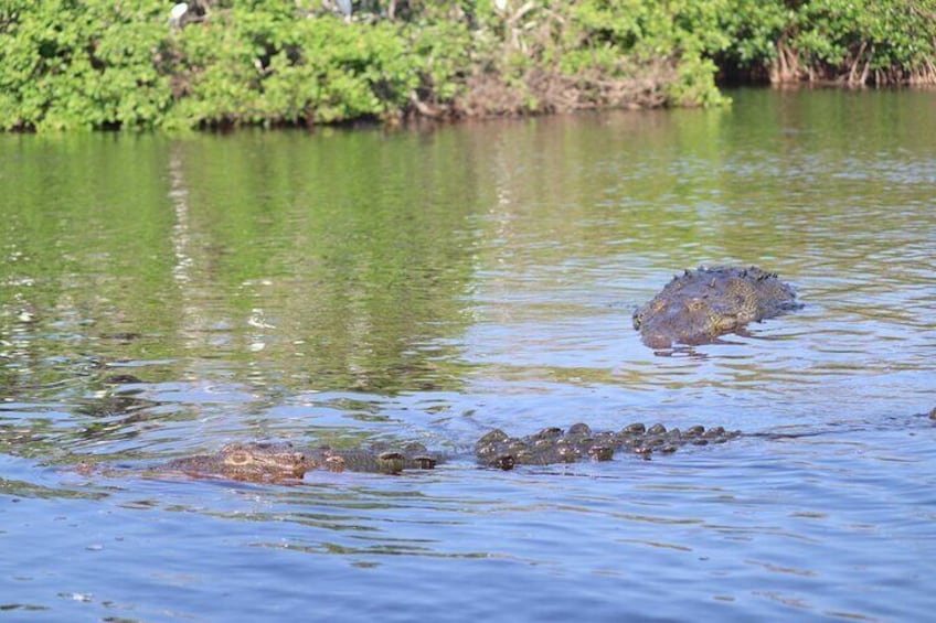 Half-Day Tour to Ventanilla, Mazunte, Zipolite and Puerto Angel