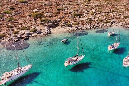 Private luxury Escape Sailing, Snorkel and Lunch Cruise