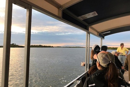 Tour de vida salvaje de Indian River Lagoon con capitán experimentado