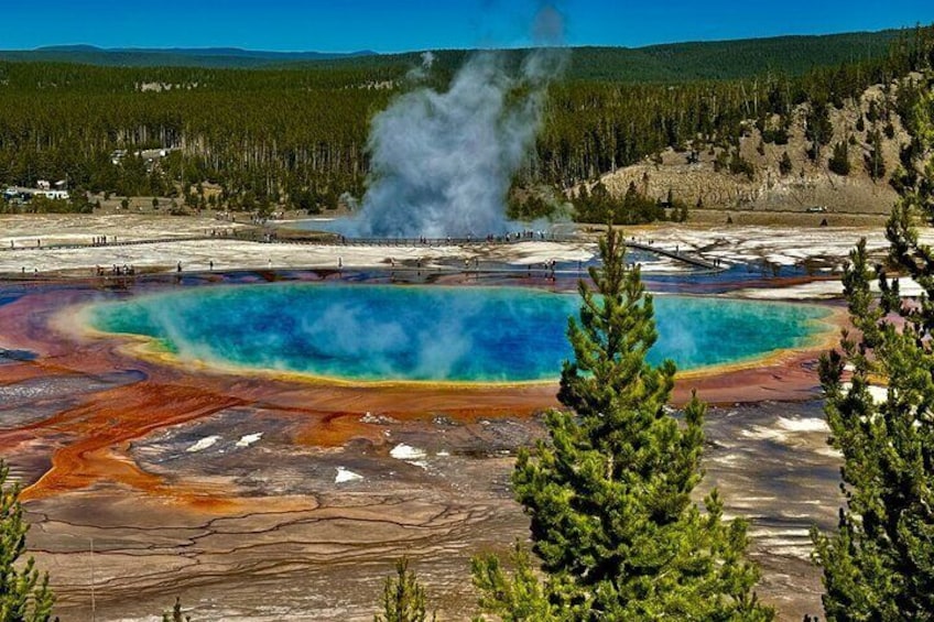 Yellowstone For Kids Family Fun Tour w/PU in West Yellowstone