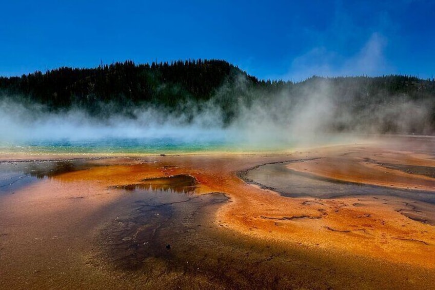 Yellowstone For Kids Family Fun Tour w/PU in West Yellowstone