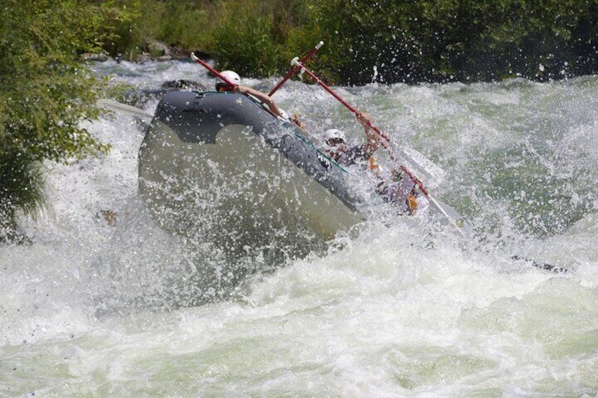 Full Day Rogue River Experience Class (I-IV)